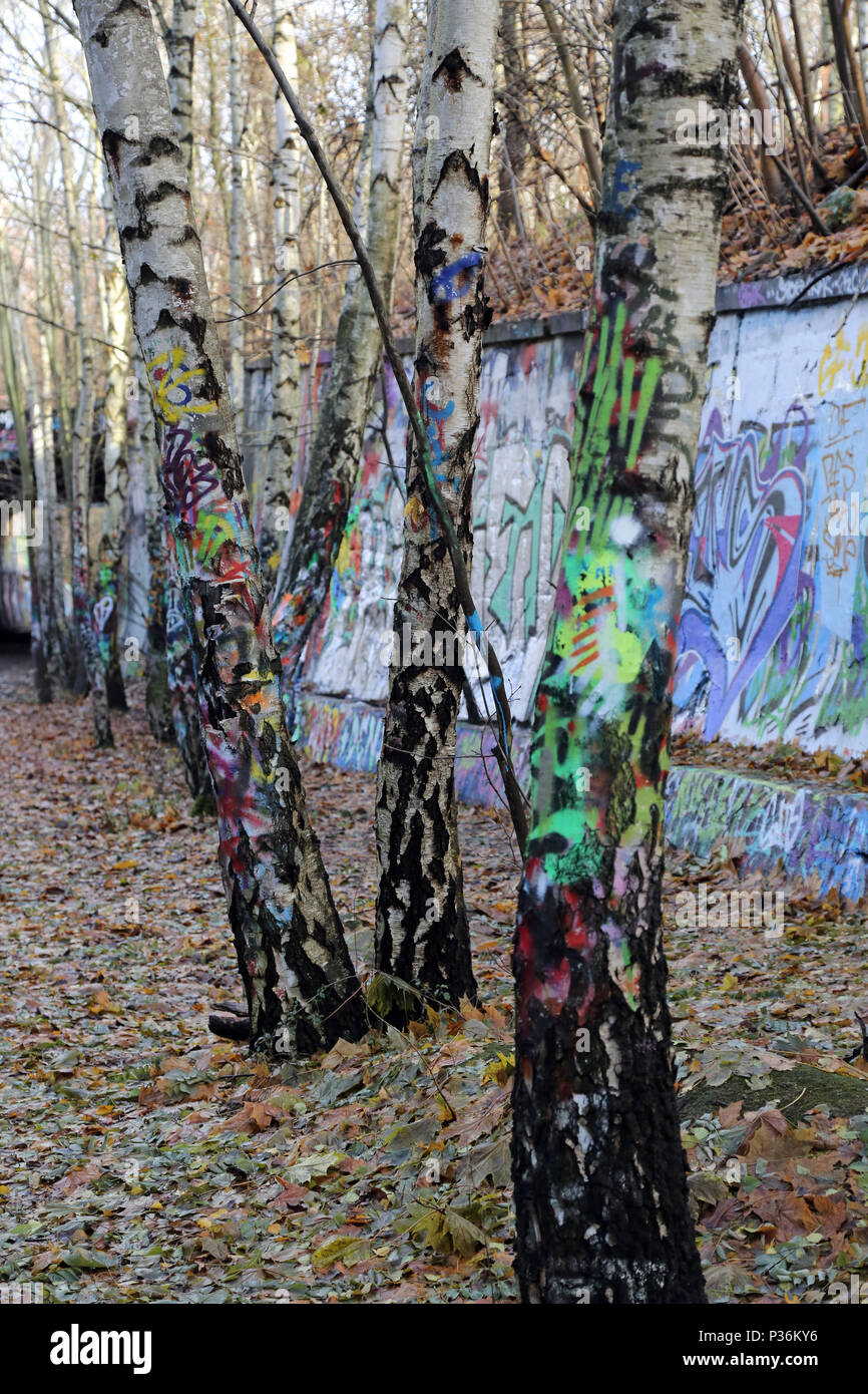 Berlin, Germany, colorfully painted birches in the Natur-Park Suedgelaende Stock Photo