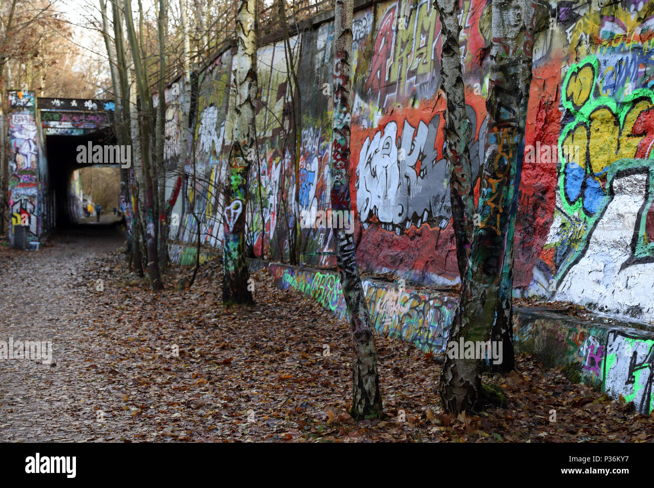 Berlin, Germany, colorfully painted birches in the Natur-Park Suedgelaende Stock Photo