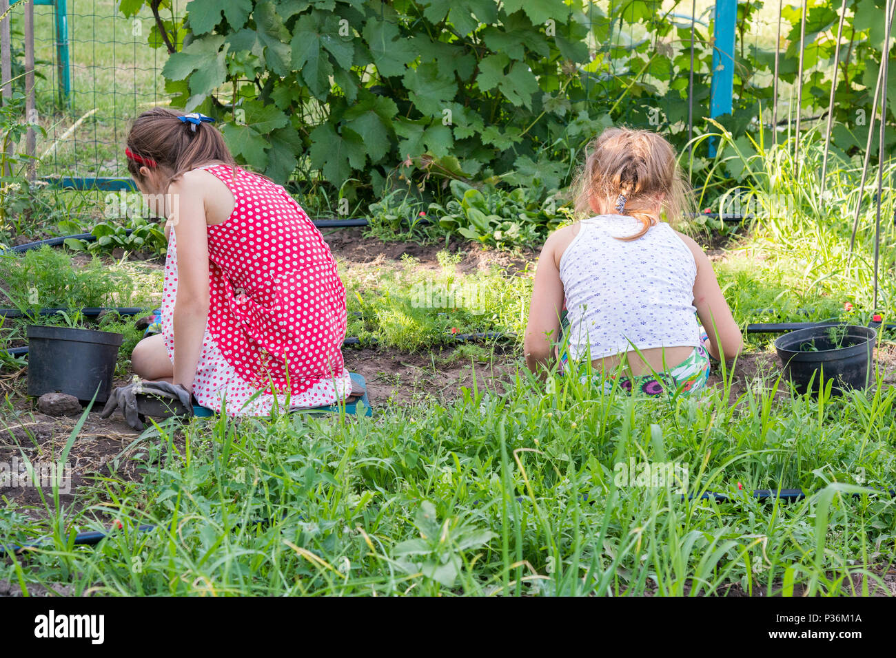 Closeup image of two teenage girls weeding garden bed. Female Gardening