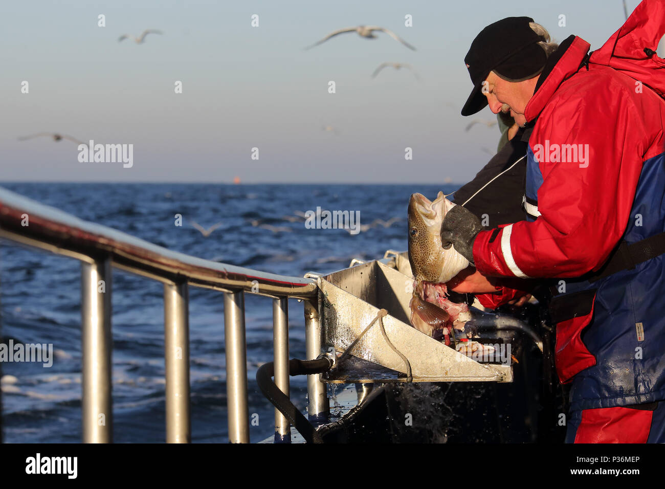 Deep sea angler fish hi-res stock photography and images - Alamy
