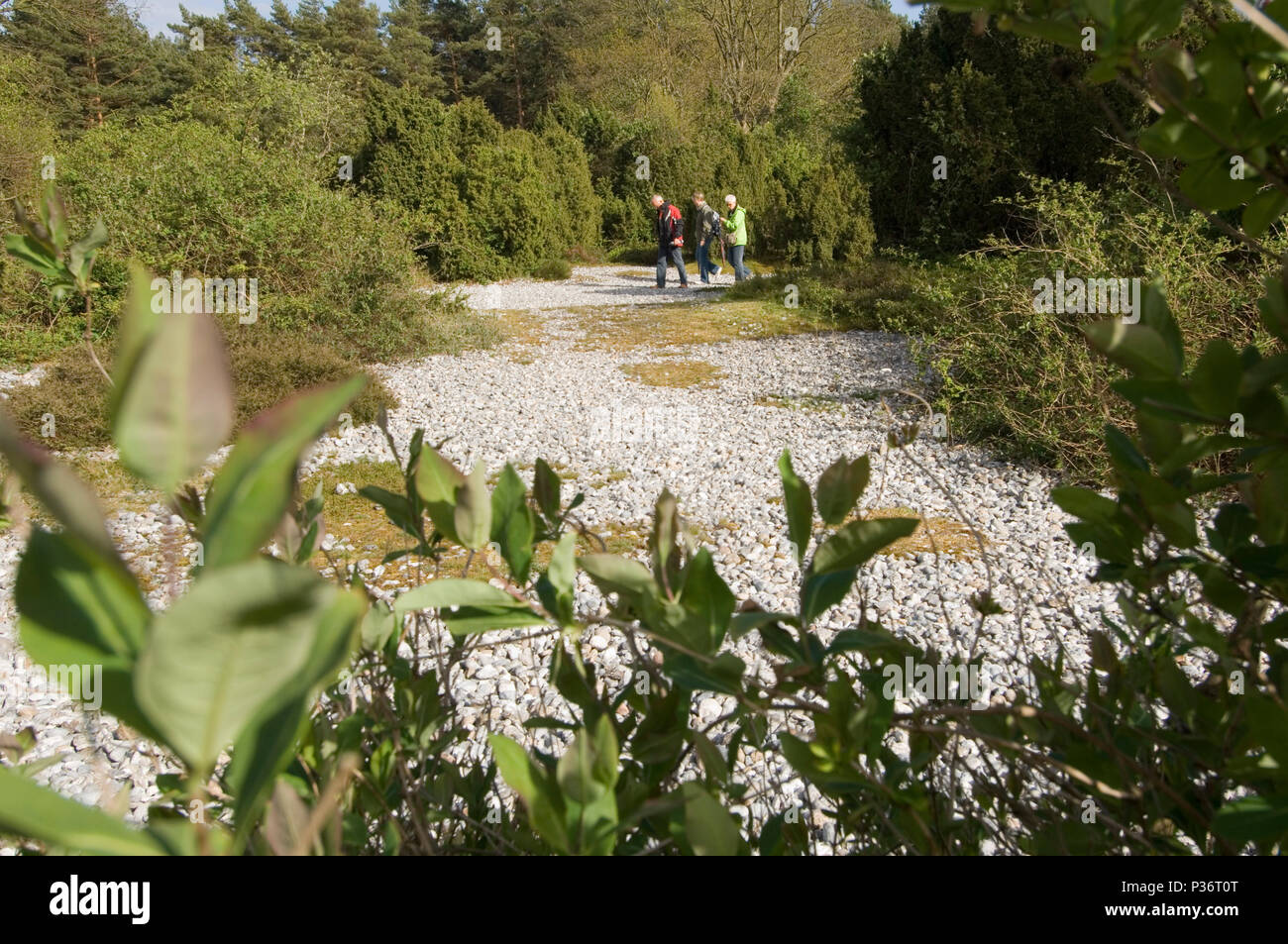 Mukran, Germany, visitors in the flint fields on the Schmale Heide