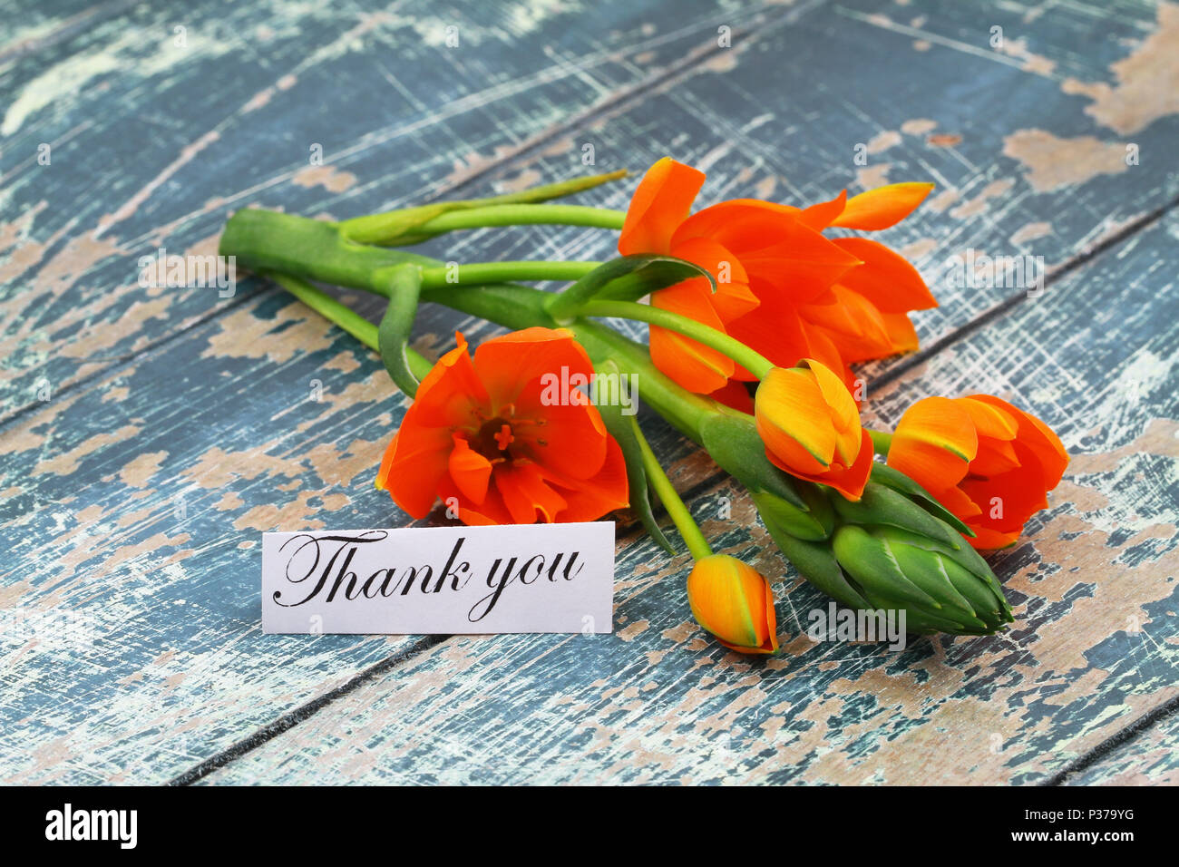 Thank you card with flowers hires stock photography and images Alamy