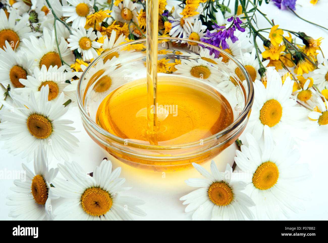 fresh honey flows into a bowl and flowers Stock Photo