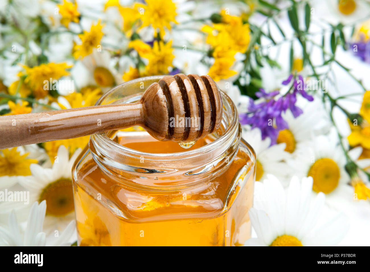 fresh honey in the bank and honey stick and flowers Stock Photo