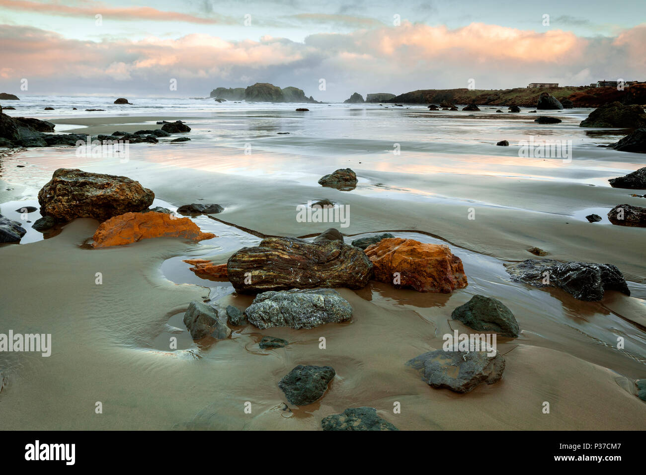 OR02498-00...OREGON - Low tide at Face Rock State Park in Bandon. Stock Photo