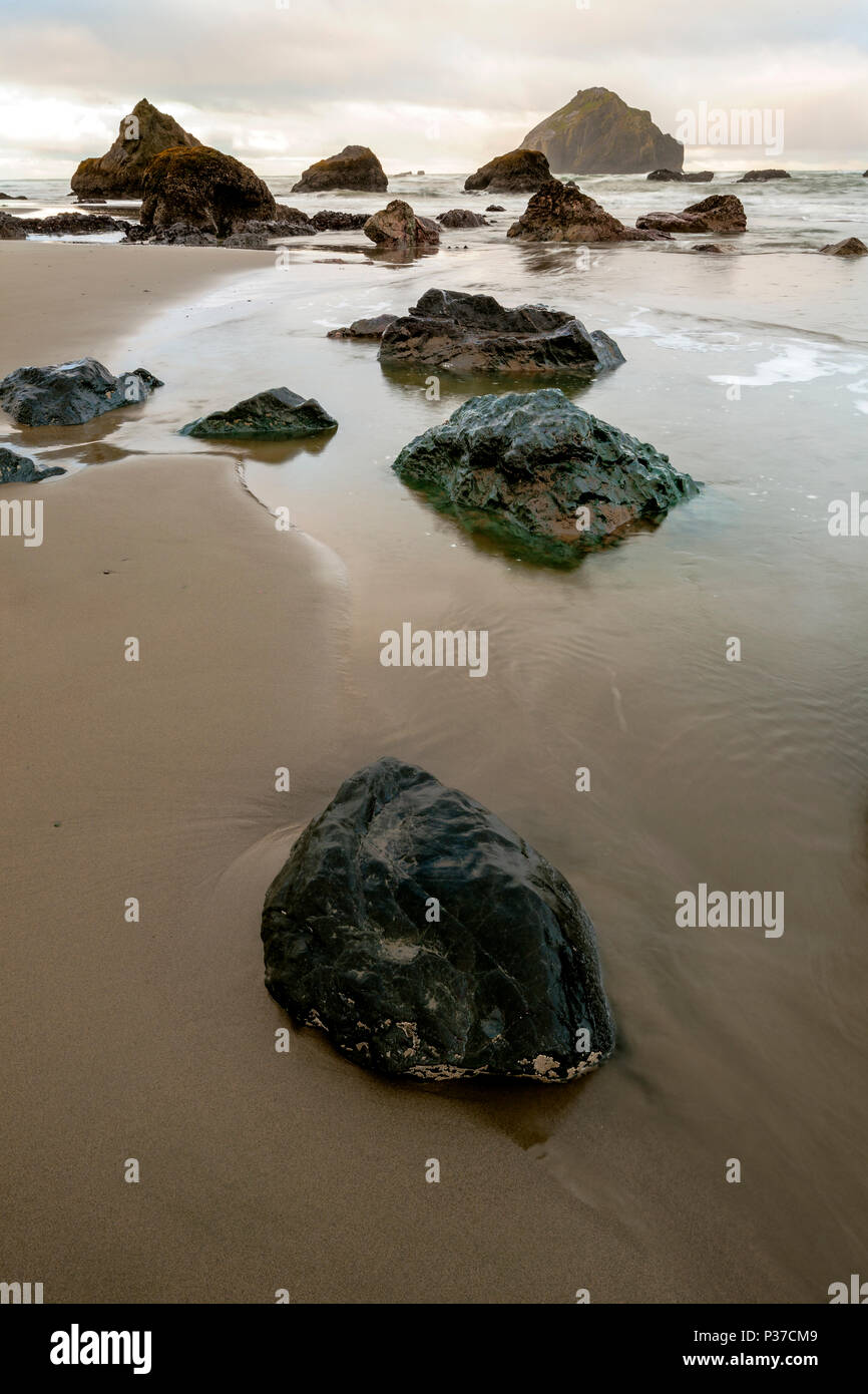 OR02500-00...OREGON - Low tide at Face Rock State Park in Bandon. Stock Photo