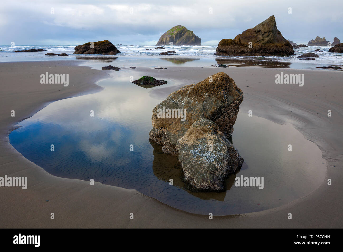 OR02501-00...OREGON - Low tide at Face Rock State Park in Bandon. Stock Photo