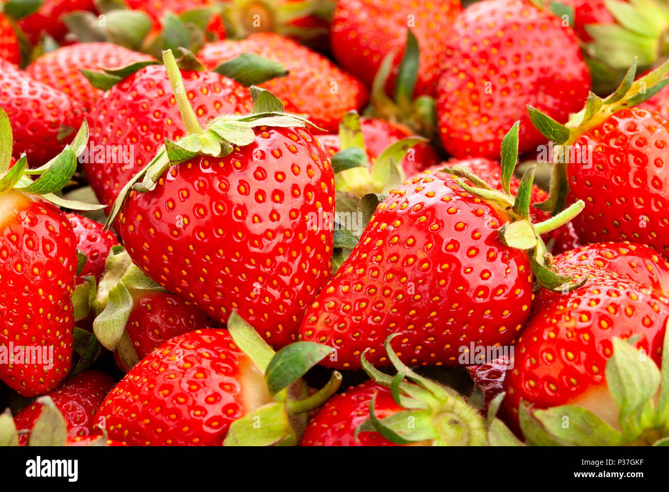 Strawberry ripe fruit leaves hi-res stock photography and images - Alamy