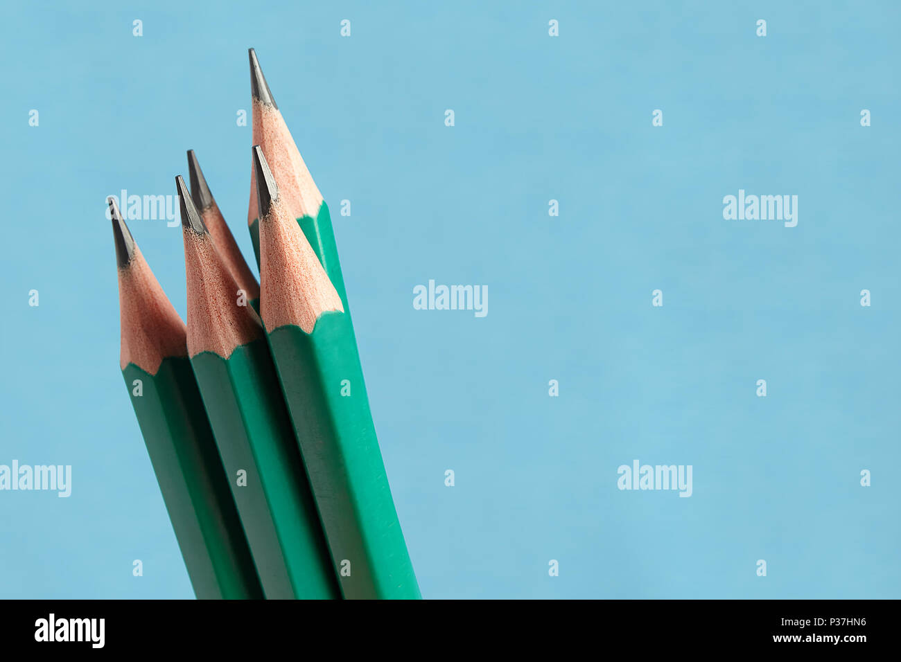 Set of five graphite pencils with wooden shell of green color on blue background. Stock Photo