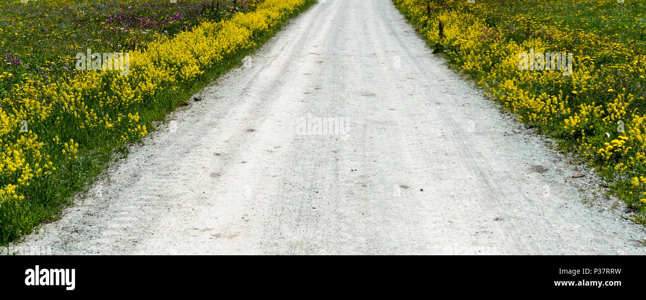 Wildflowers gravel hires stock photography and images Alamy