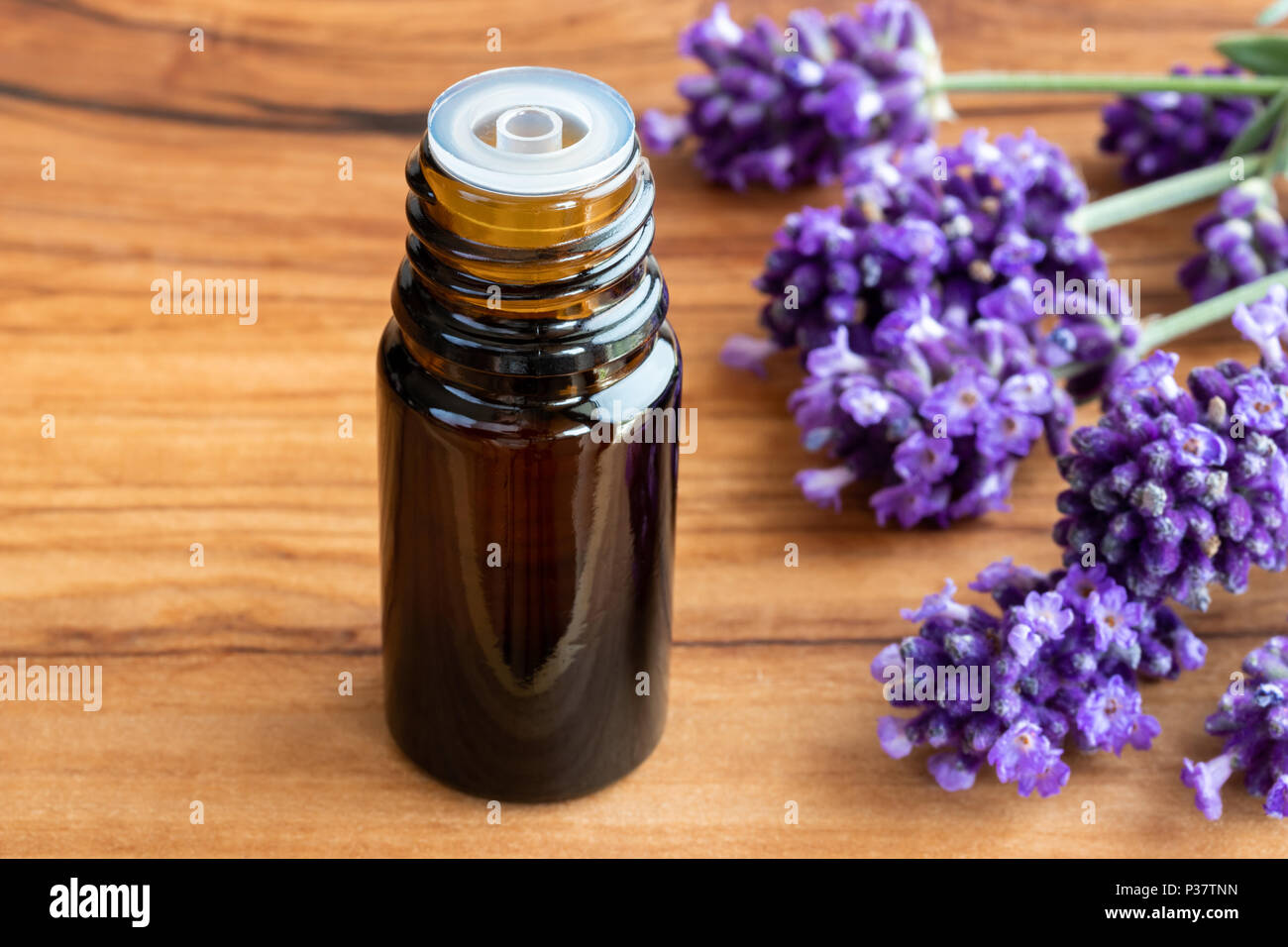 A bottle of essential oil with fresh blooming lavender twigs Stock ...