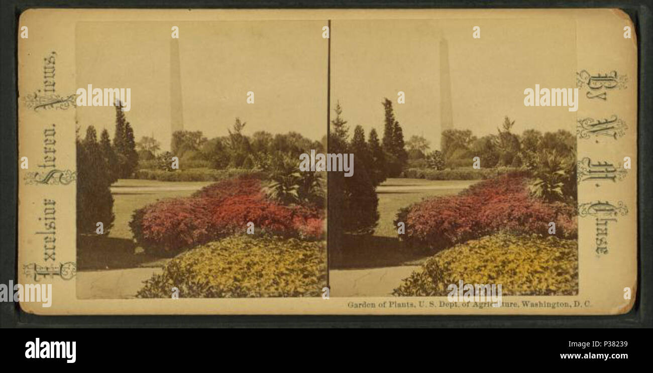 . Garden of Plants, U.S. Department of Agriculture, Washington.  Created: 1868-1890.  Coverage: 1868-1890. Source Imprint: 1868?-1890?. Digital item published 10-24-2005; updated 2-12-2009. 117 Garden of Plants, U.S. Department of Agriculture, Washington, from Robert N. Dennis collection of stereoscopic views 2 Stock Photo