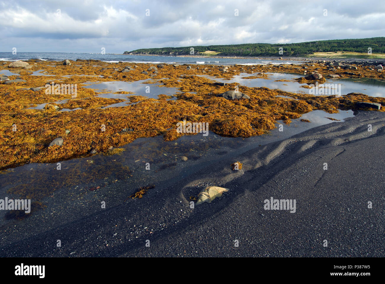 St barbe hires stock photography and images Alamy