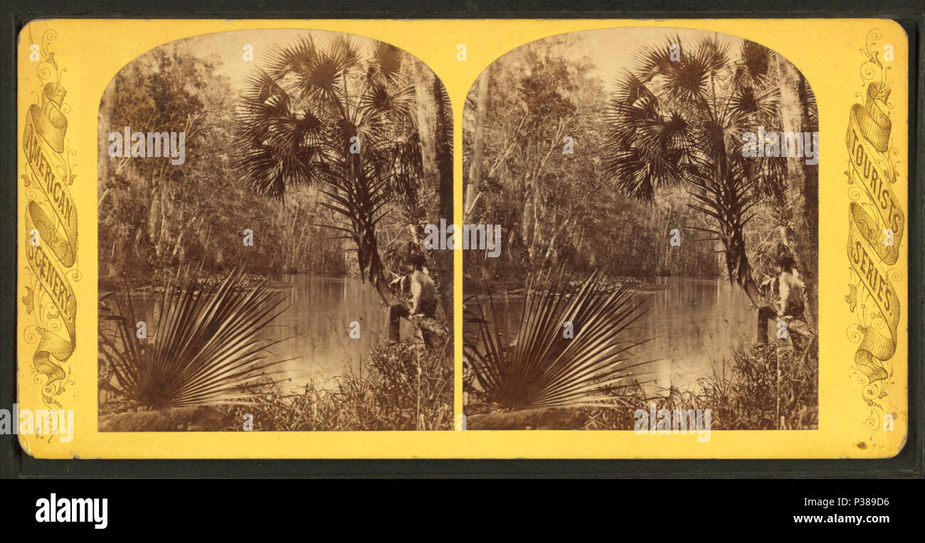 131 Grecian Bend, Oklawaha River, Fla, from Robert N. Dennis collection of stereoscopic views Stock Photo