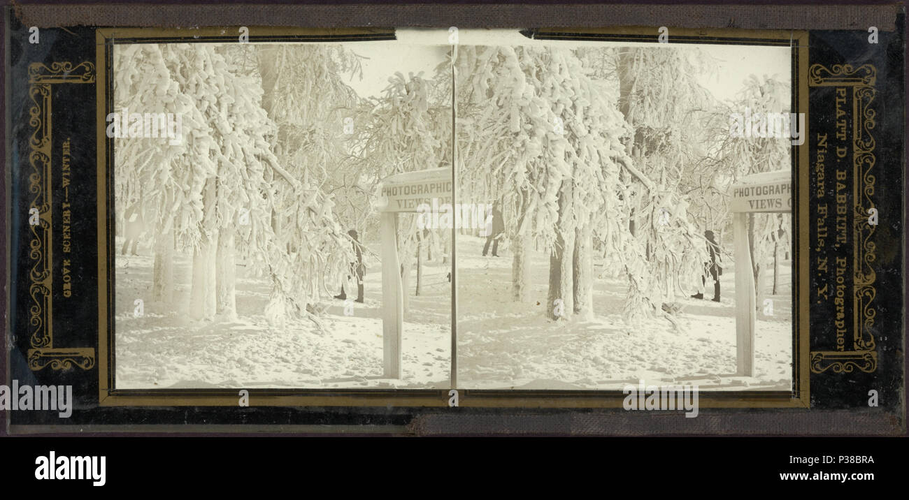 . Grove scenery - winter.  Coverage: 1854-[1865?]. Digital item published 12-5-2006; updated 6-25-2010. 135 Grove scenery - winter, by Babbitt, Platt D., d. 1879 Stock Photo