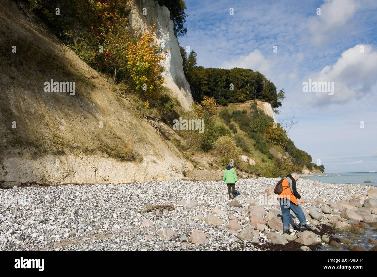 Sassnitz, Germany, stone beach at the chalk cliffs Stock Photo Alamy
