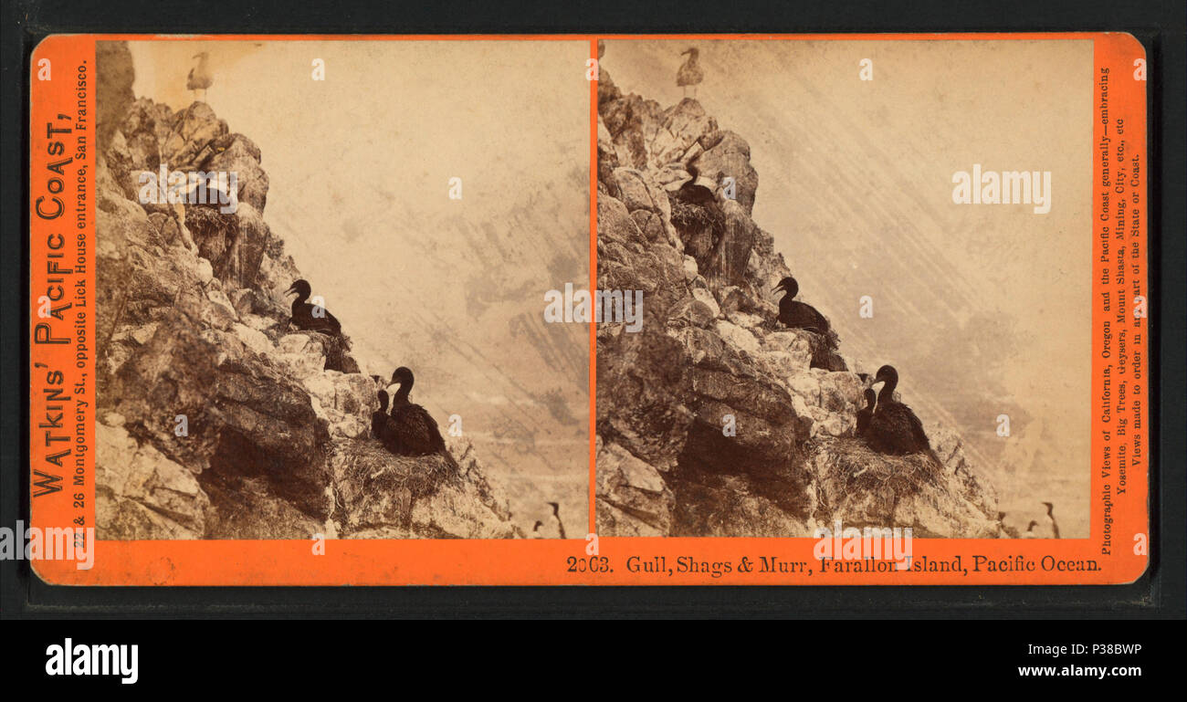 FARALLON 993 WINDOWS 7 DRIVERS DOWNLOAD FARALLON 993 DRIVER FOR WINDOWS MAC
