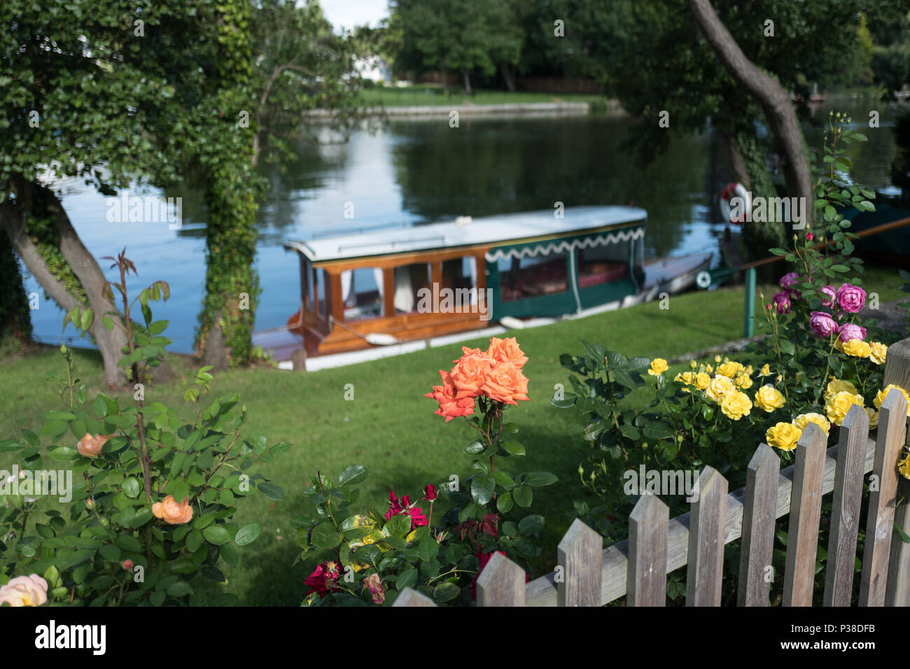 Maidenhead, United Kingdom.  'Thames Punting Club Regatta', Bray Reach. 09:24:50 Sunday  06/08/2017  © Peter SPURRIER, Stock Photo