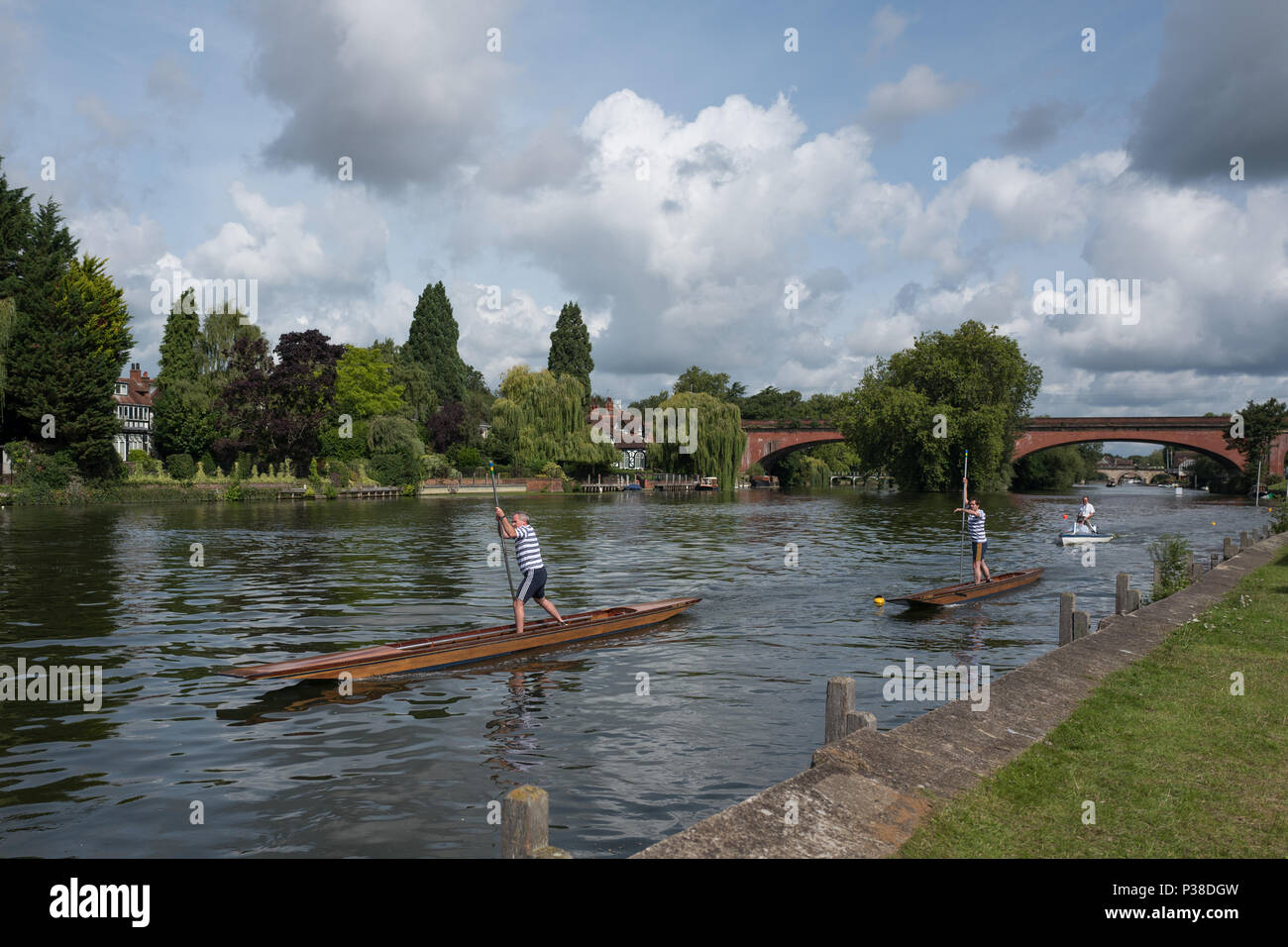 Maidenhead, United Kingdom.  'Thames Punting Club Regatta', Bray Reach. 10:03:35 Sunday  06/08/2017  © Peter SPURRIER, Stock Photo