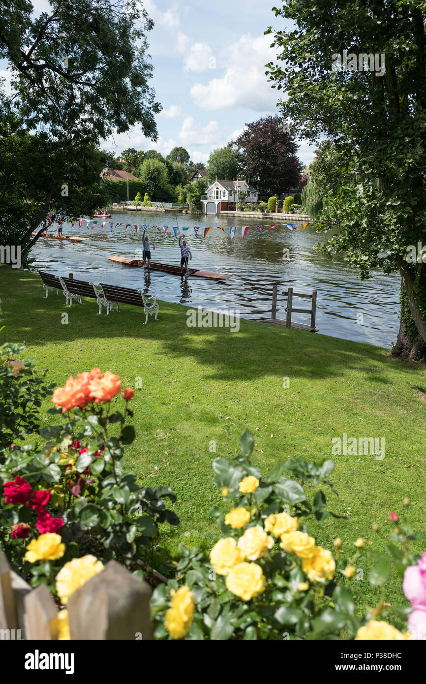 Maidenhead, United Kingdom.  'Thames Punting Club Regatta', Bray Reach. 11:49:26 Sunday  06/08/2017  © Peter SPURRIER, Stock Photo