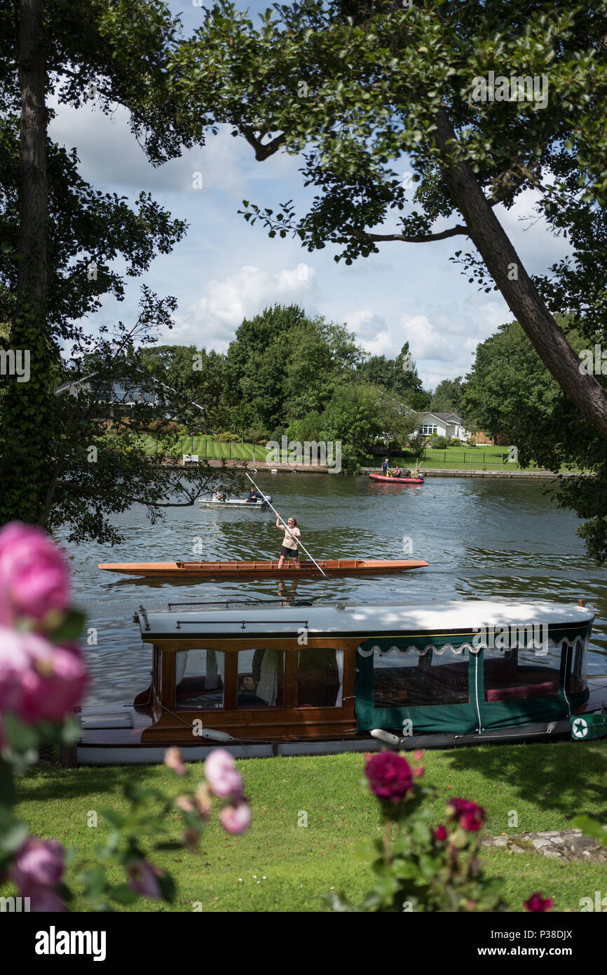 Maidenhead, United Kingdom.  'Thames Punting Club Regatta', Bray Reach. 12:02:13 Sunday  06/08/2017  © Peter SPURRIER, Stock Photo