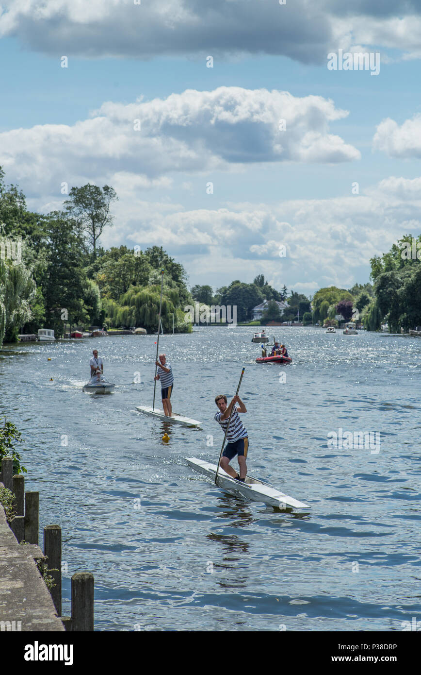 Maidenhead, United Kingdom.  'Thames Punting Club Regatta', Bray Reach. 13:34:58 Sunday  06/08/2017  © Peter SPURRIER, Stock Photo