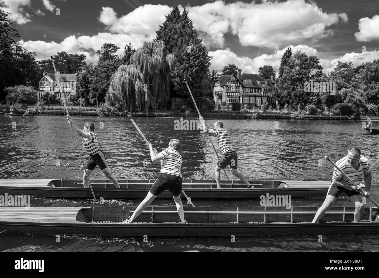 Thames Punting Championships 2018 Multiple values Stock Photo