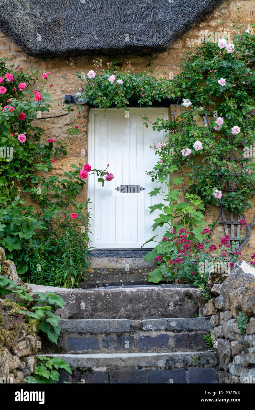 Cottage roses around the door hires stock photography and images Alamy