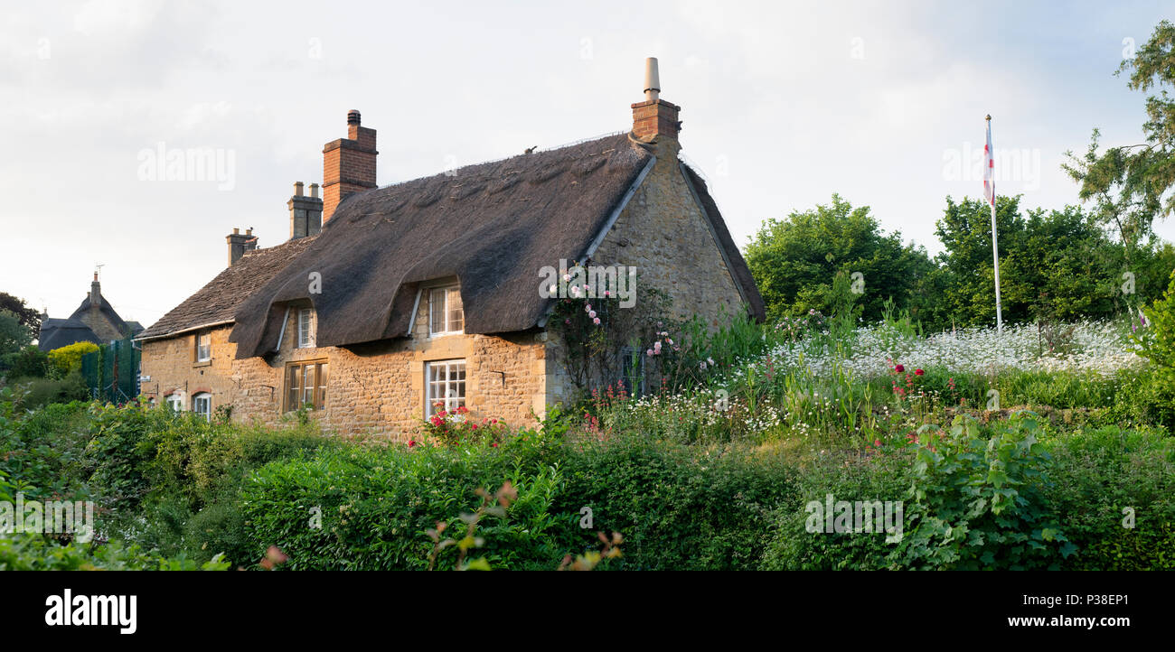 Thatched cottage in the evening sunlight in Ebrington, Chipping Campden, Gloucestershire, England. Panoramic Stock Photo
