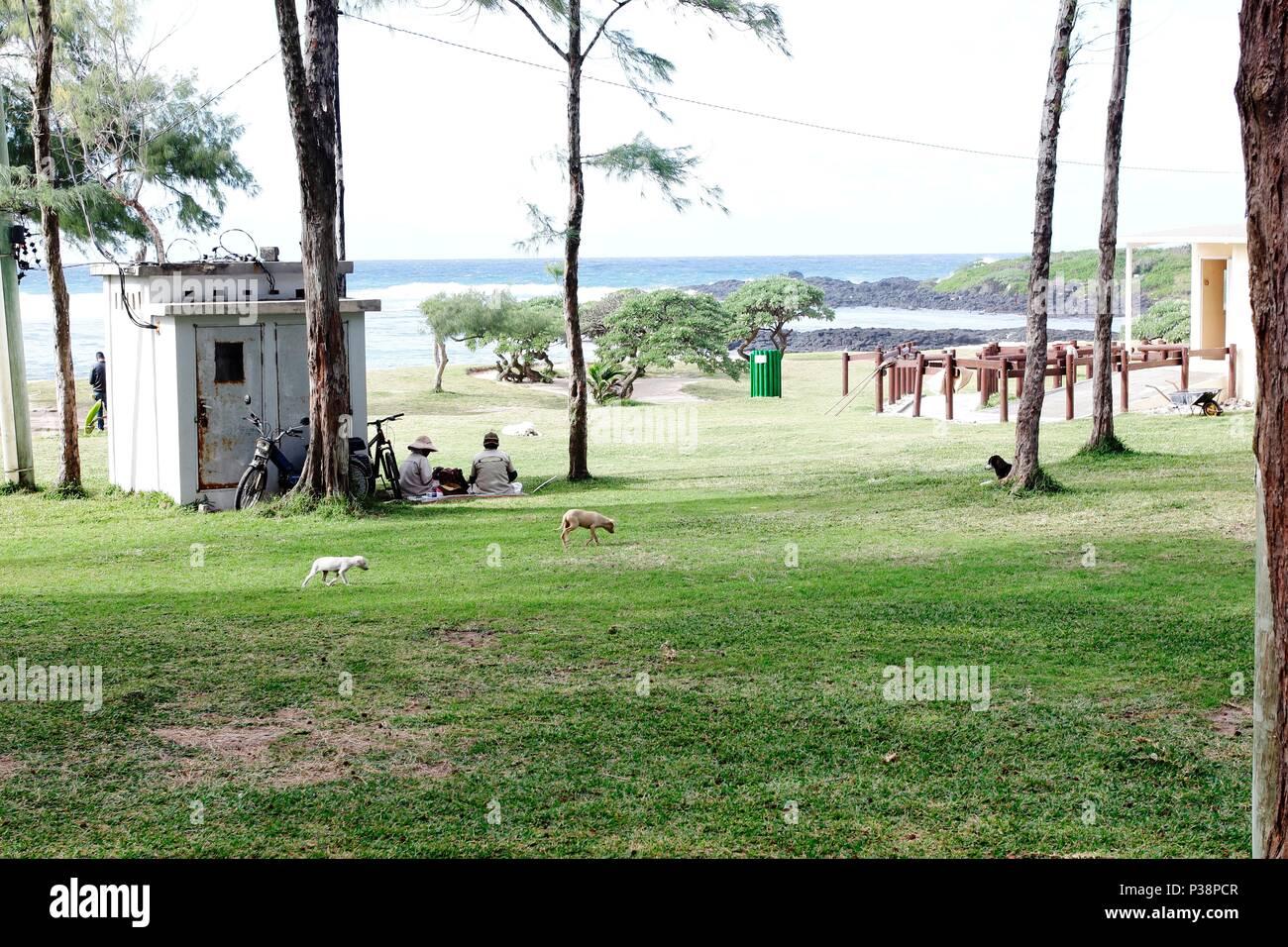 La Cambuse Beach is located near the village of Mon Desert, in the southeast part of Mauritius. This is one of the many beaches of Mauritius situated Stock Photo