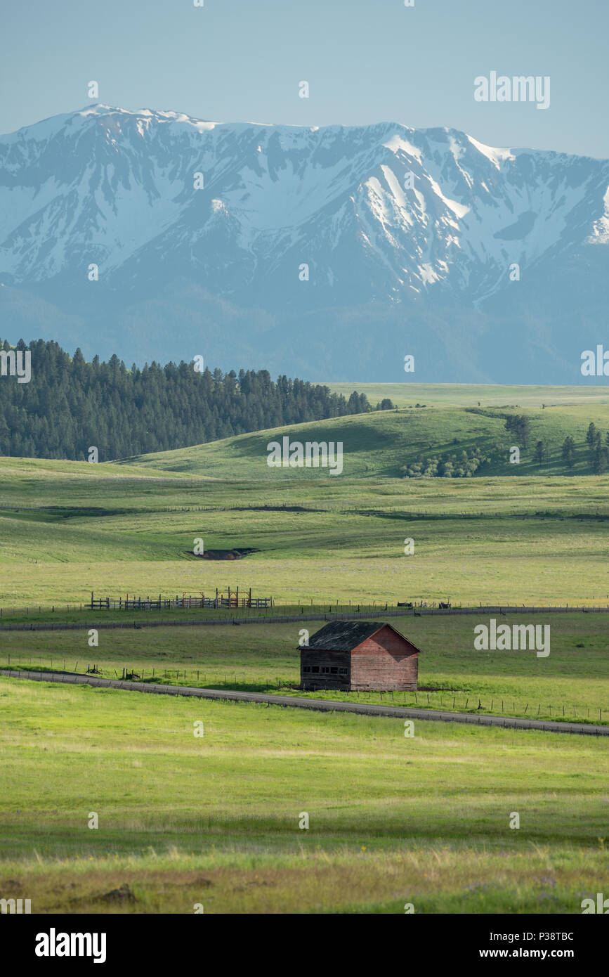 Old barn on Oregon's Zumwalt Prairie with the Wallowa Mountains in the background. Stock Photo