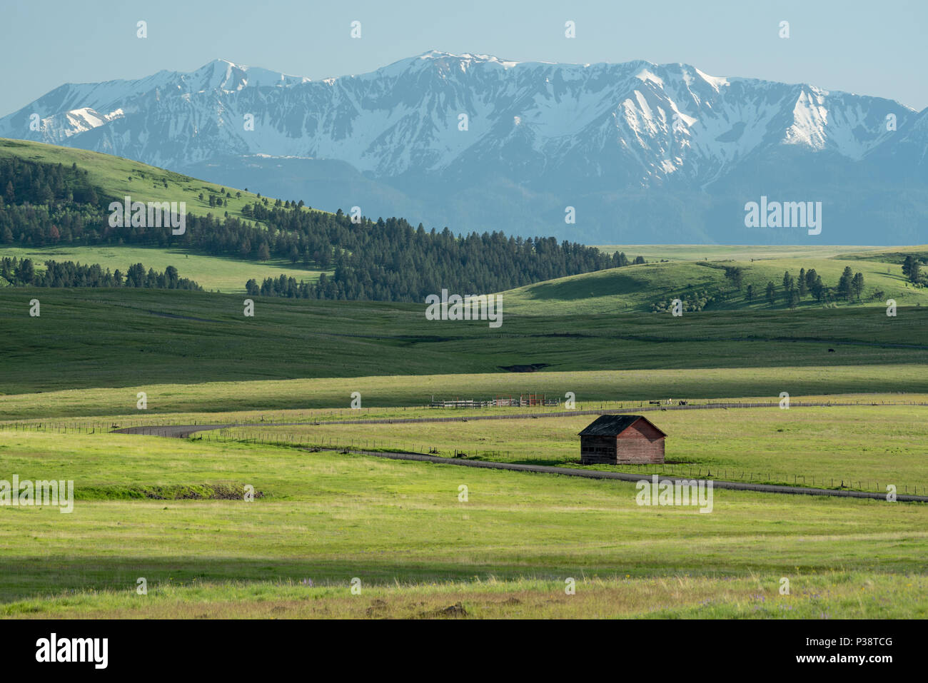 Old barn on Oregon's Zumwalt Prairie with the Wallowa Mountains in the background. Stock Photo