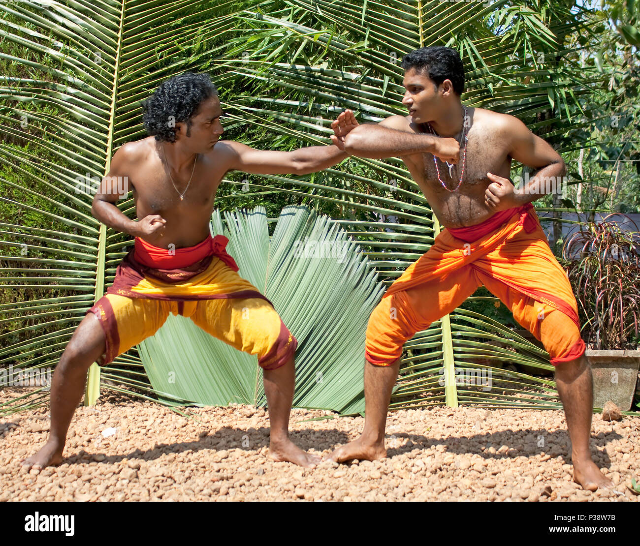 Kalarippayat, indian ancient martial art of Kerala, India Stock Photo Alamy