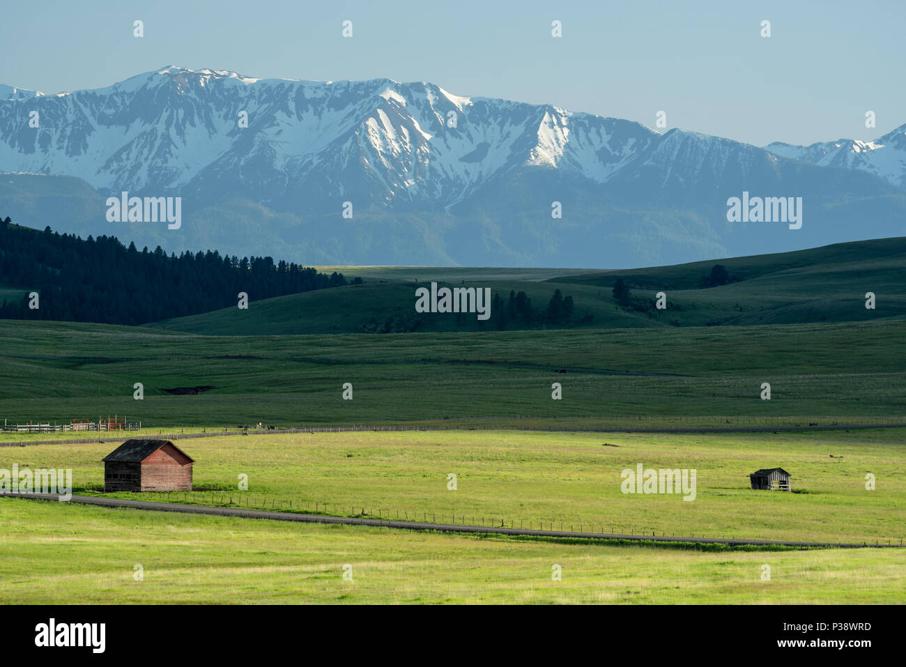 Old barn and shed on Oregon's Zumwalt Prairie with the Wallowa Mountains in the background. Stock Photo