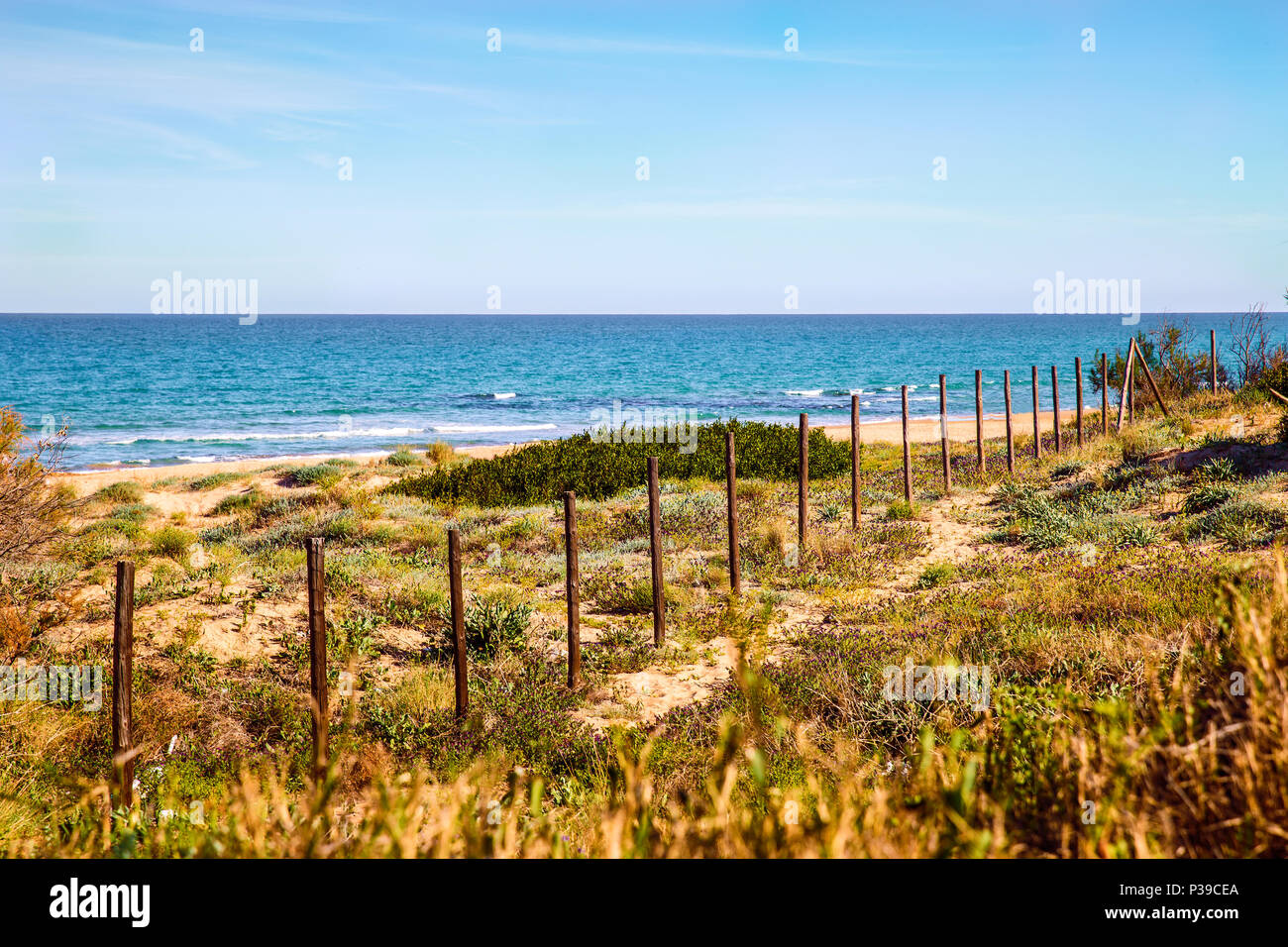 sandy dunes in  lonely beach.Guardamar del segura. Alicante,Spain Stock Photo