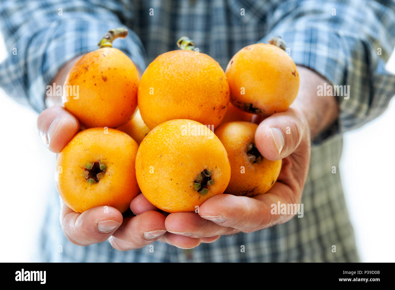 Exotic fruits on your table: how to eat loquat Exotic fruits on your table: how to eat loquat
