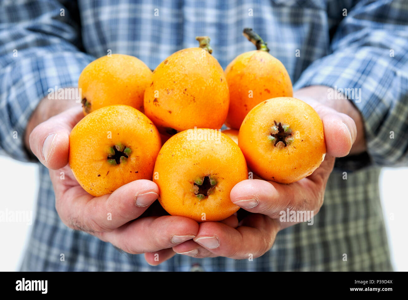Exotic fruits on your table: how to eat loquat Exotic fruits on your table: how to eat loquat