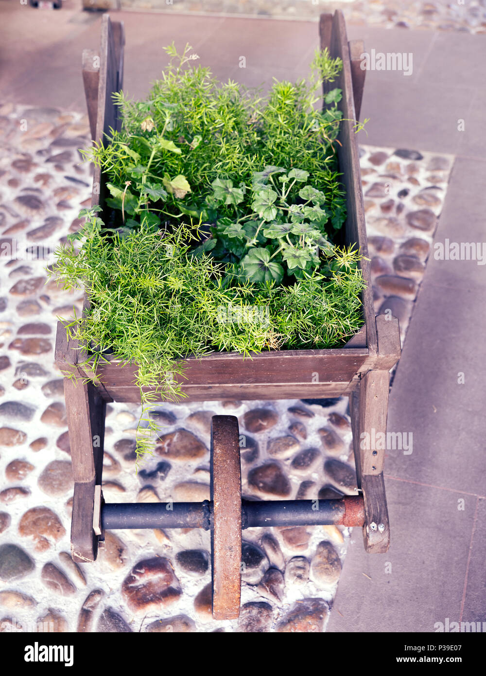 Decorative cart hires stock photography and images Alamy