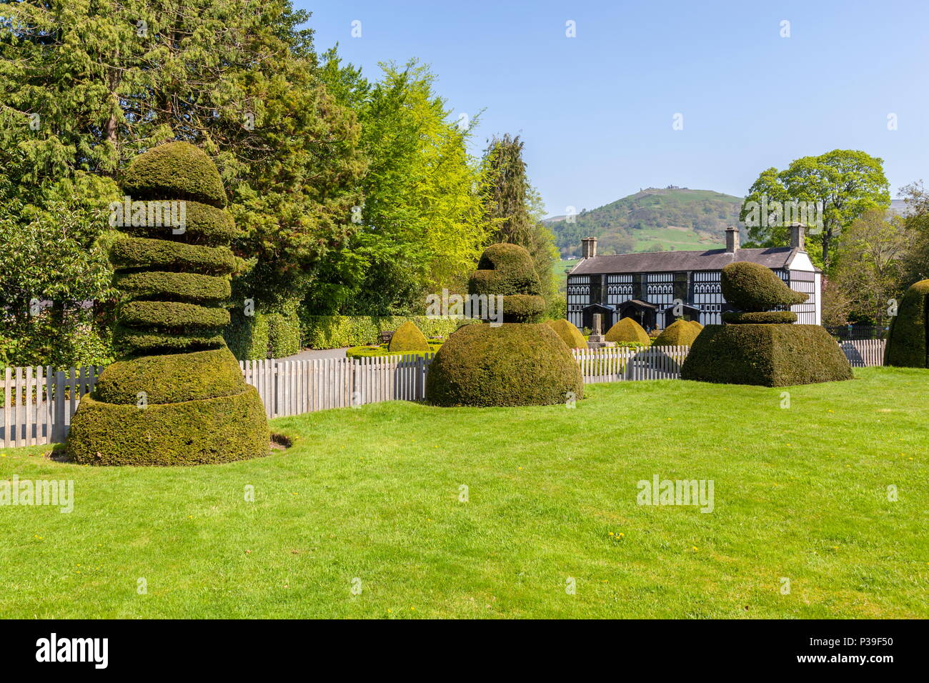 Plas Newydd House in Llangollen with a view of castell Dinas Bran in the background Stock Photo