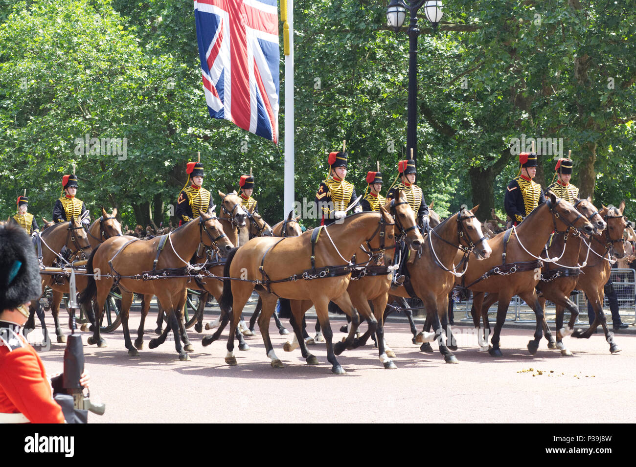 The King's Troop, Royal Horse Artillery, ceremonial unit of the British Army Stock Photo