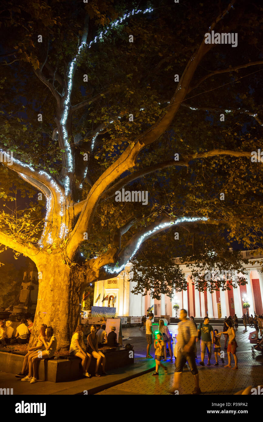 Odessa, Ukraine, light installation on a tree Stock Photo