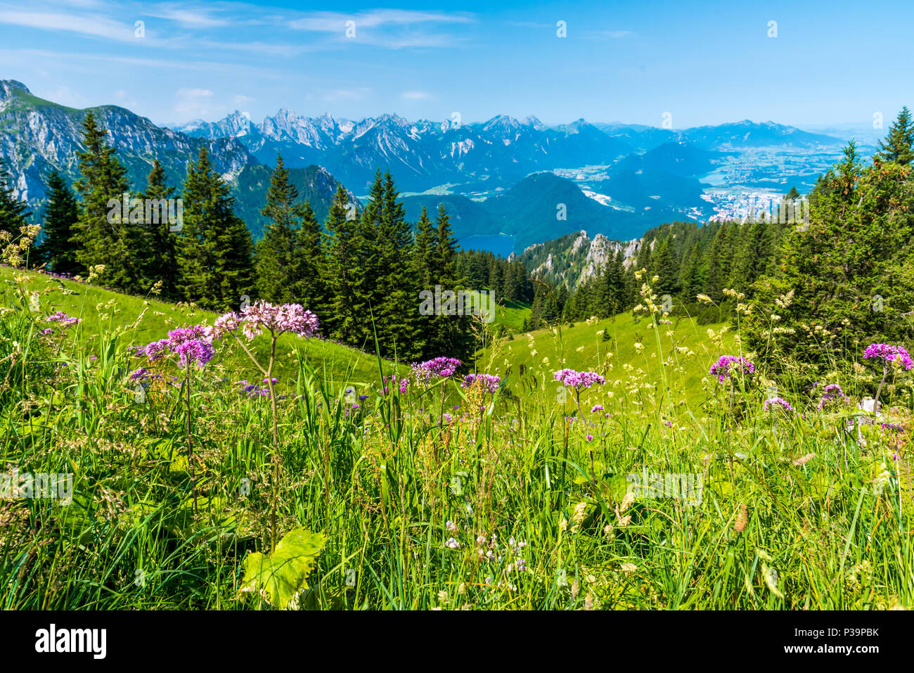 Tegelbergbahn hi-res stock photography and images - Alamy