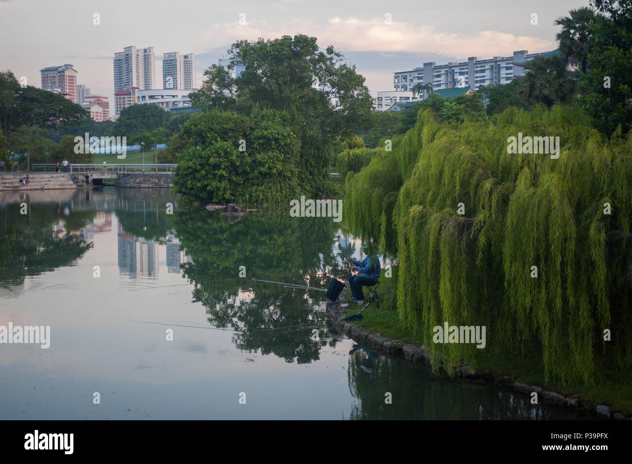 Singapore, Republic of Singapore, an angler in Bishan Park Stock Photo