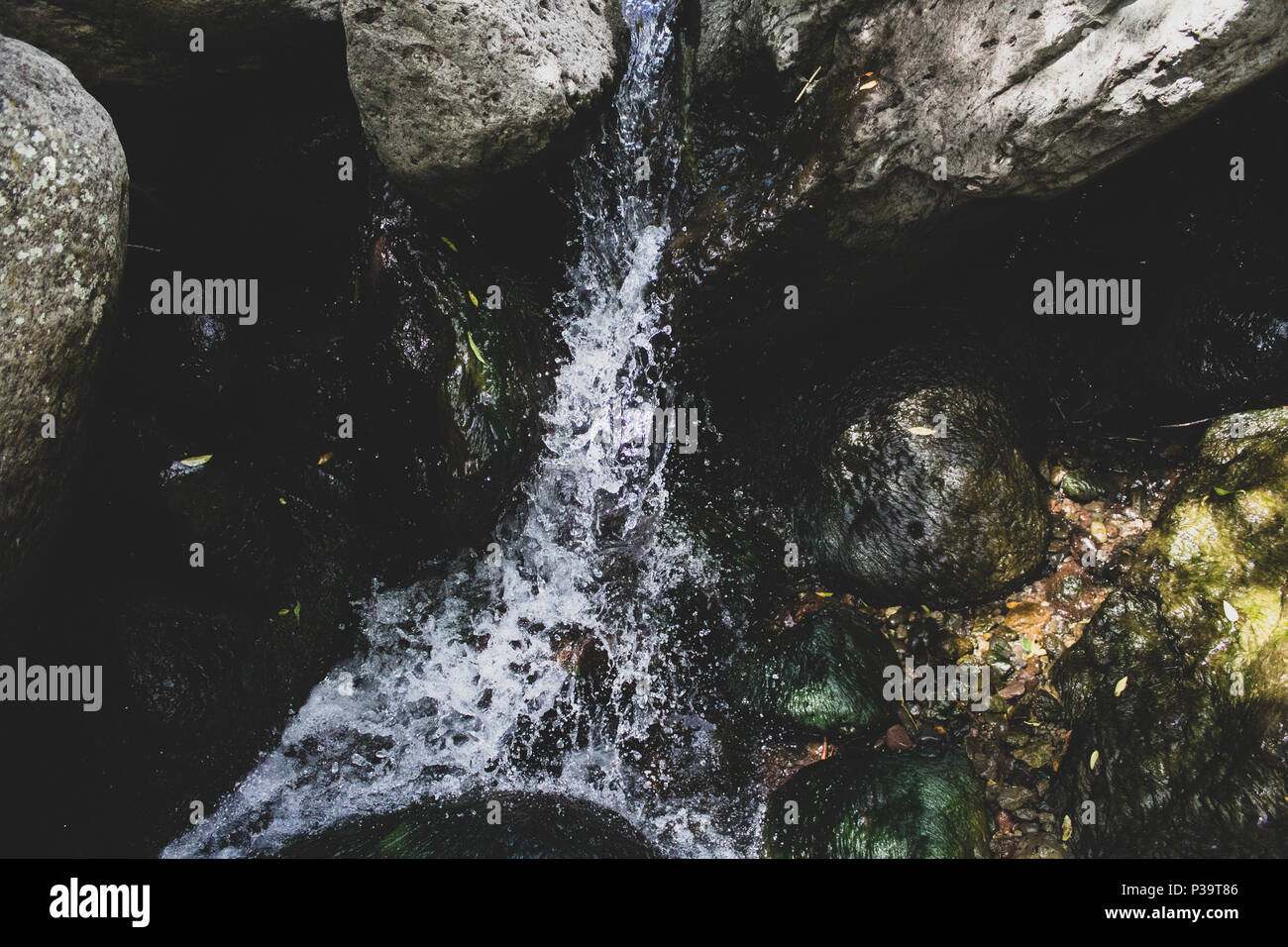 Rock Creek Park Sign High Resolution Stock Photography and Images - Alamy