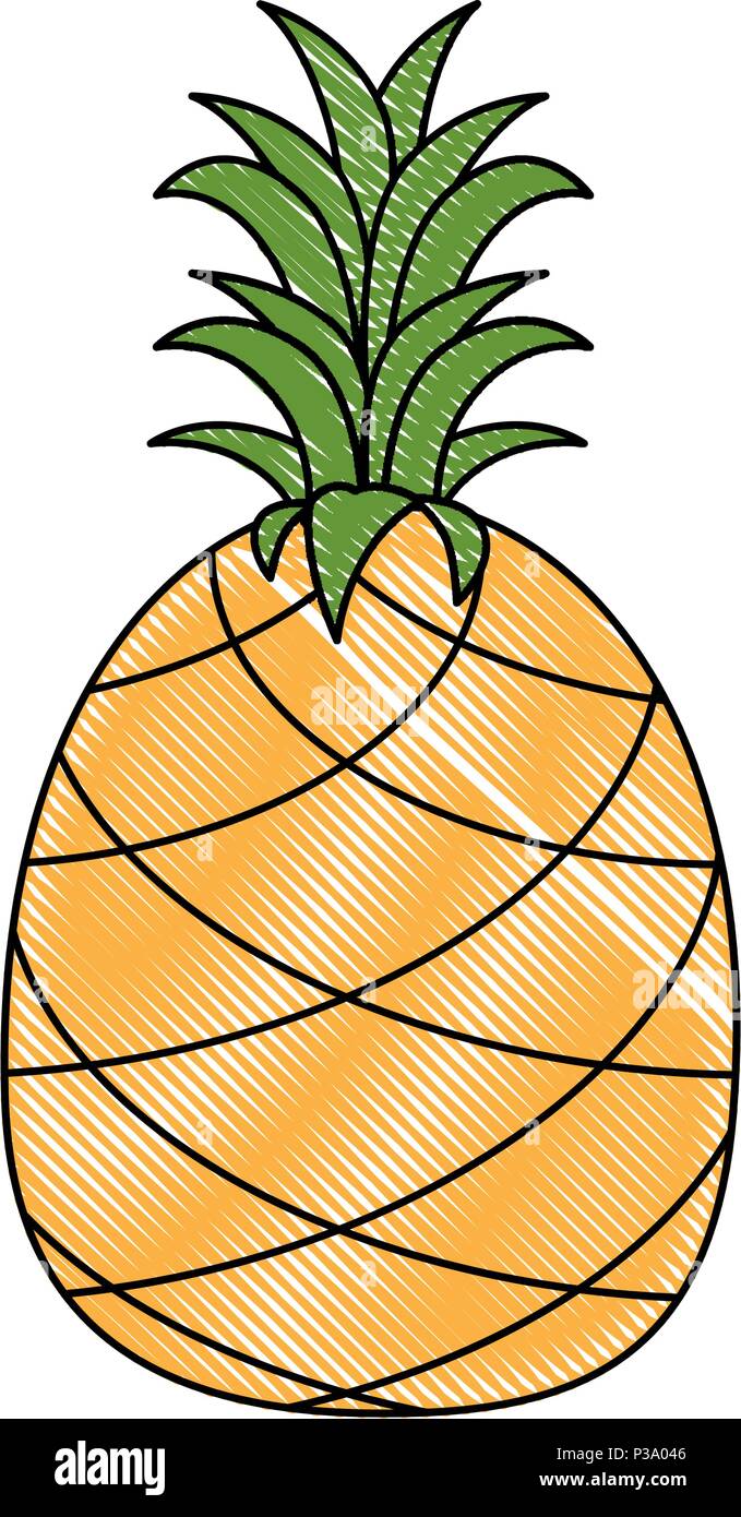pineapple fresh fruit healthy Stock Vector Image & Art - Alamy