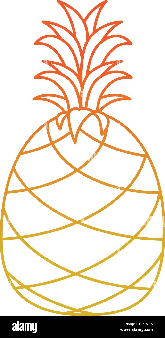 pineapple fresh fruit healthy Stock Vector Image & Art - Alamy