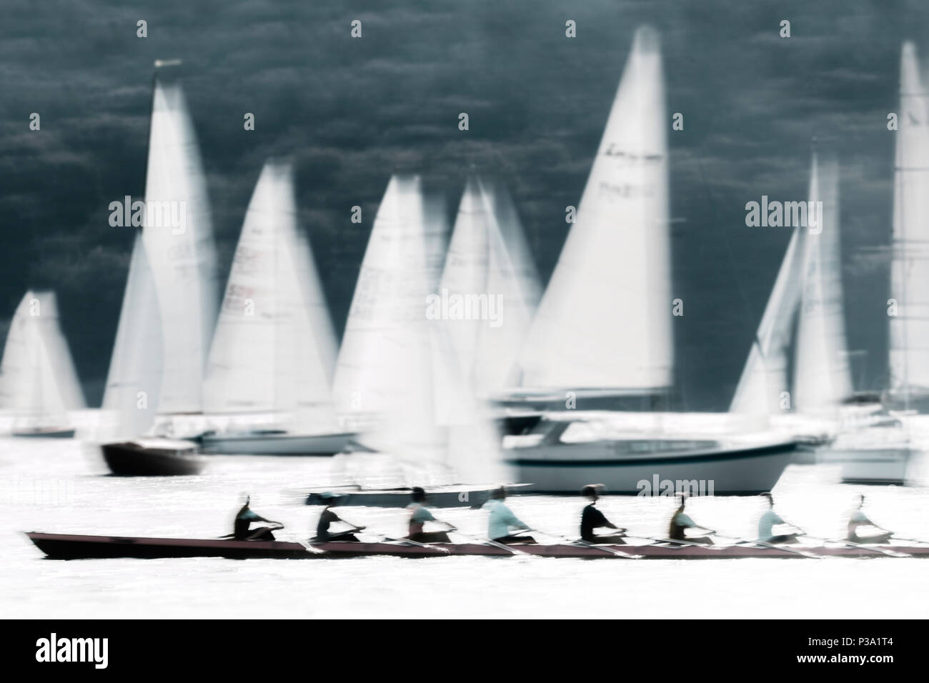 Berlin, Germany, rowing eights in front of sailboats on the Havel Stock Photo