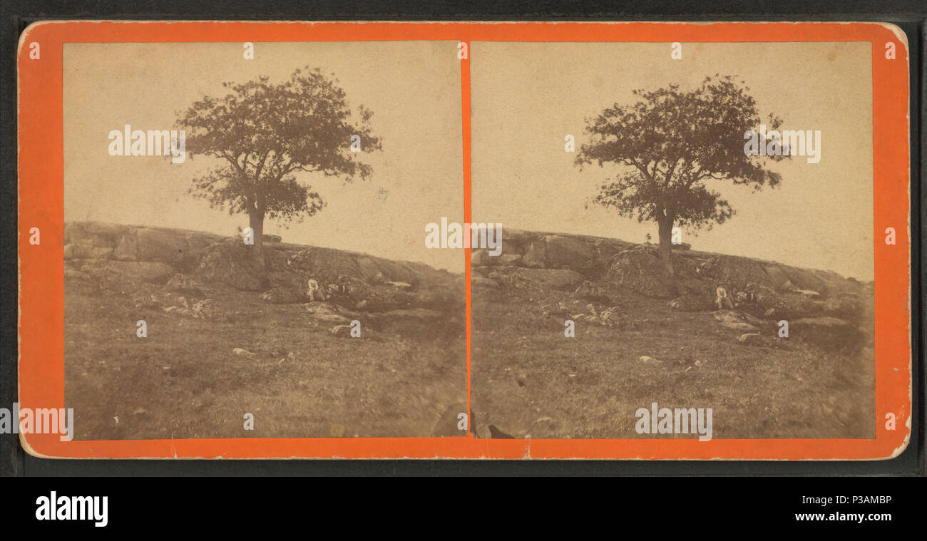 hires stock photography and images Alamy