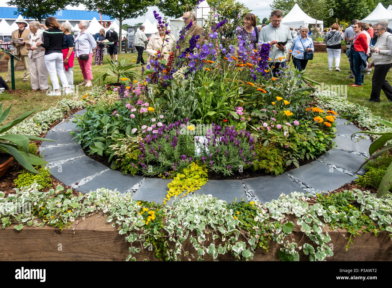 All I Ever Wanted, a beautiful Border by Eva Zandman; Gardeners' World