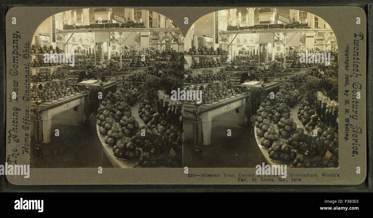 194 Missouri fruit exhibit in Palace of Horticulture, by Whiting View Company Stock Photo